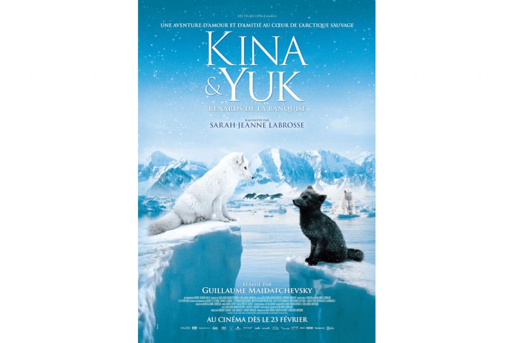 Kina & Yuk: renards de la banquise, au cinéma dès le 23 février !